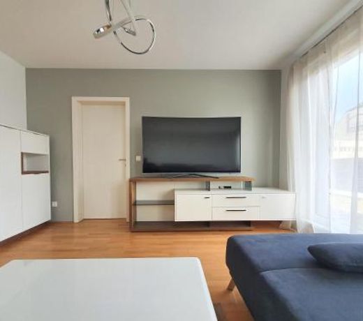 Near Lake Spacious & Furnished Beautiful Apartment