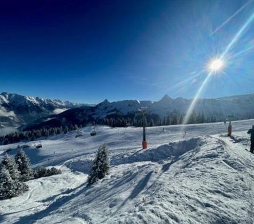 Alpenchalet Piz Husli