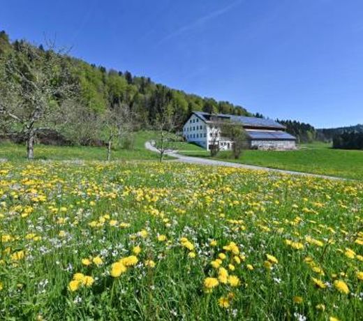 AuszeitHof VÃ¶gel
