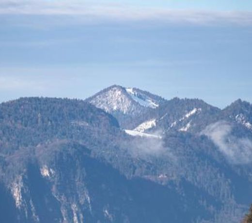 Wolfgangsee Appartements
