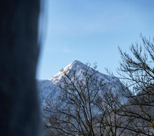 Wolfgangsee Appartements