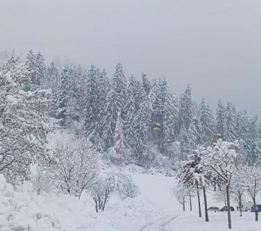 Alpenoase