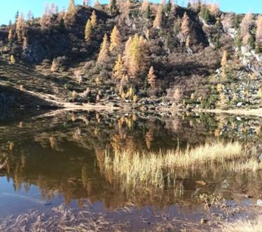Himmlisch Urlauben in Pichl