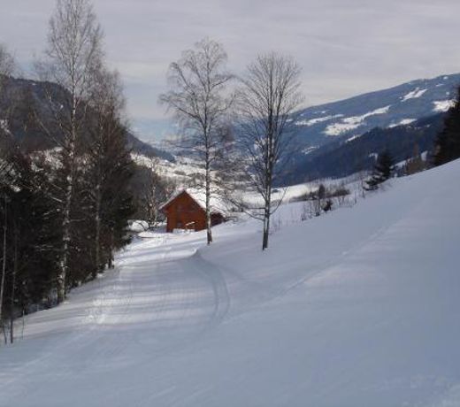 Ahornhutte