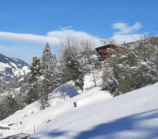 Alpine cottage with exceptional view