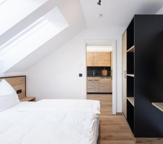 Moxn Apartment Lungau - Small Penthouse mit Terrasse