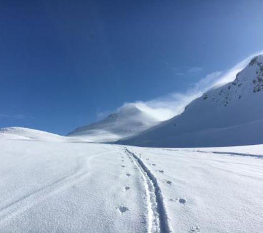 Chalet Irmi Hart im Zillertal