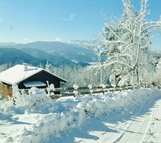Ferienhaus in NiederÃ¶sterreich mit 3 Apartments mitten im Wald