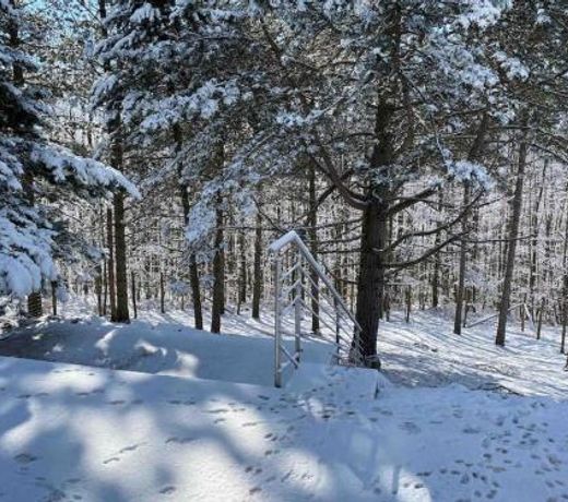Behagliches Cottage mit Kamin mitten im Wald