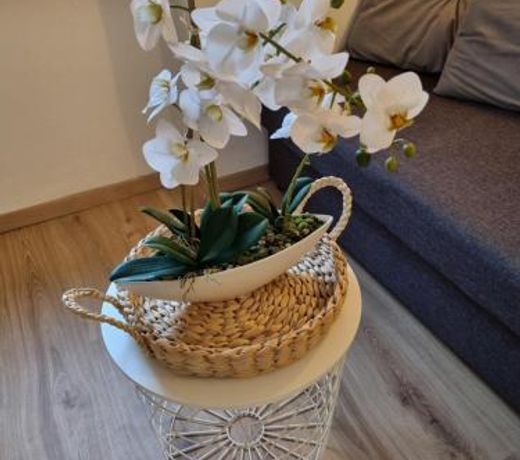 Apartment Seebachhof