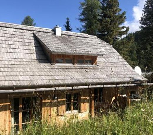 Turrach Chalet Haus Dachs