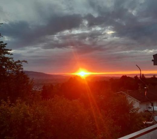 Ferienwohnung Bodenseeblick