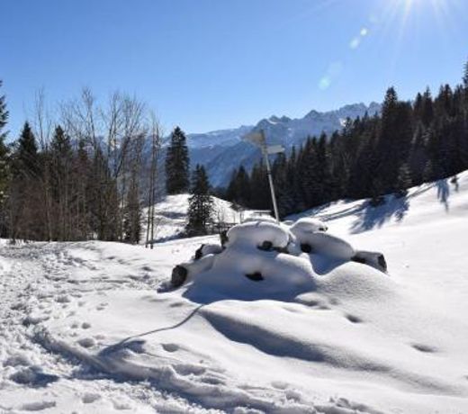 Ferienwohnung Alpblick