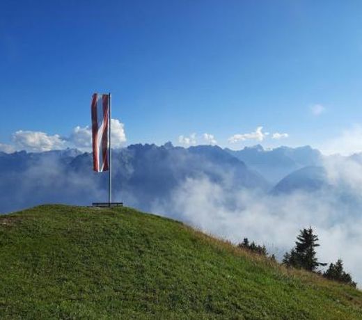 "Haus am Illufer" Ihr Smart-Alpin-Home in Bludenz