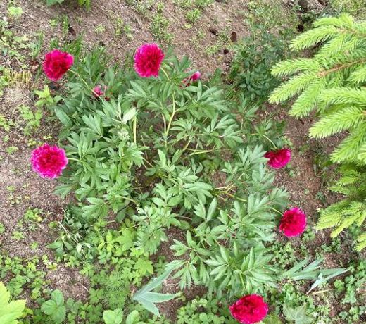 Freiblick 1 Bad Glbg m. Whirlpool u. Garten_Top1