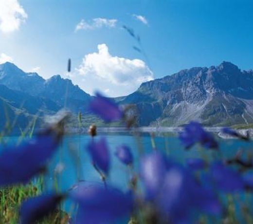 2-Zi FeWo Zentral mit Panorama-Sonnenterrasse by A-Appartments