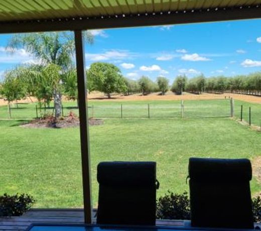 Waikerie Olive Grove