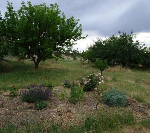 Meander Retreat - Garden Studio