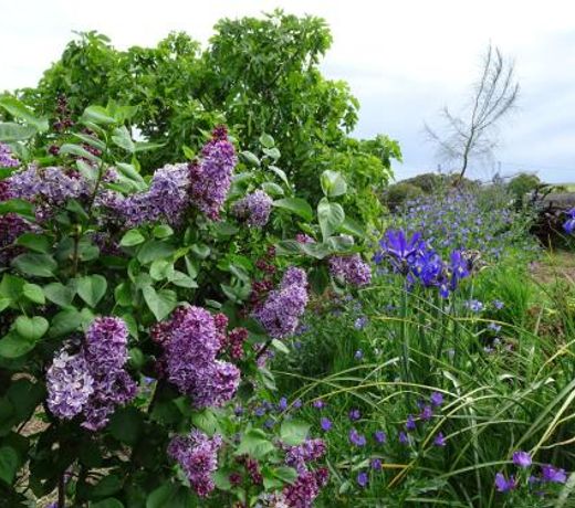 Meander Retreat - Garden Studio