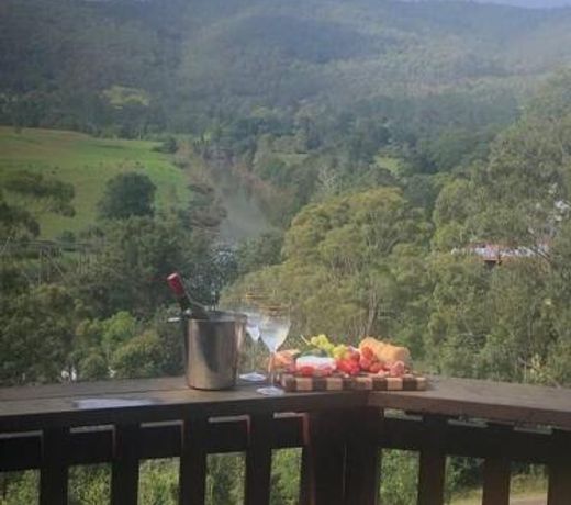 Paterson Skywalk and Bush Bedroom