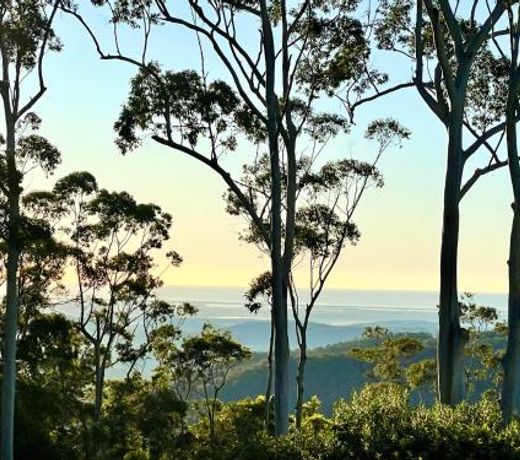 Tamborine Mountain Lodge