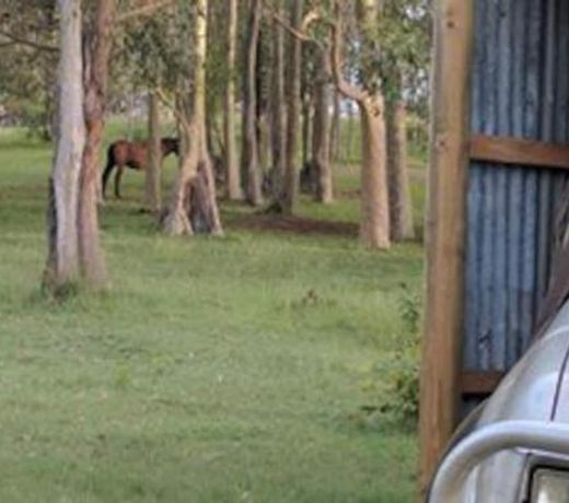 Charity Creek Retreat