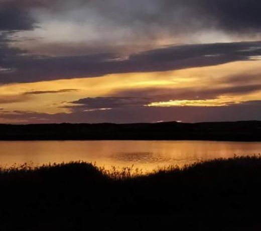 Coorong Island Retreat - Farm Stay at Pet Friendly Property