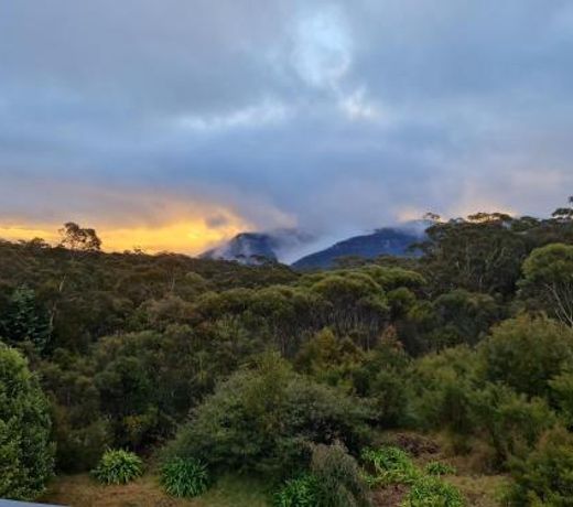 Magic in Medlow