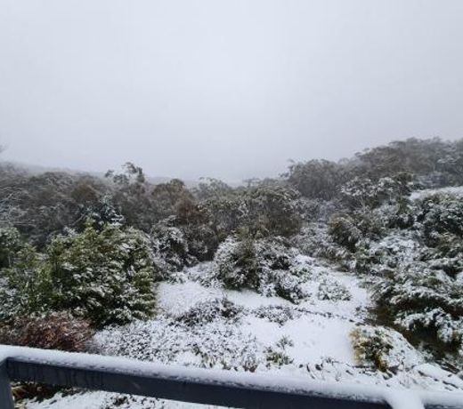Magic in Medlow