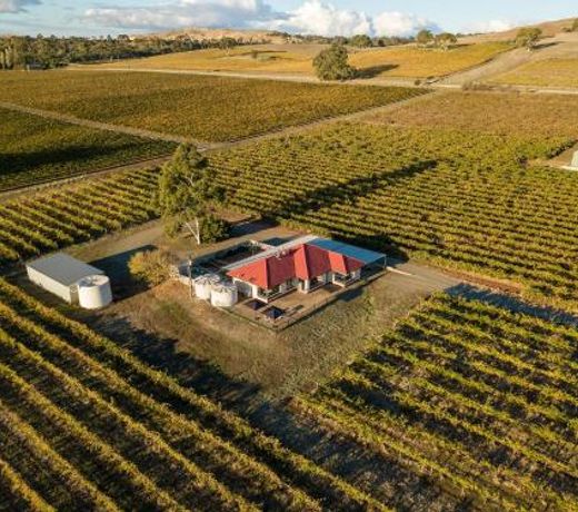 McGill Vineyard Barossa