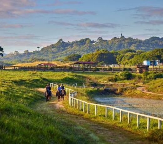 KUR-Cow farm escape 35 minutes from Cairns
