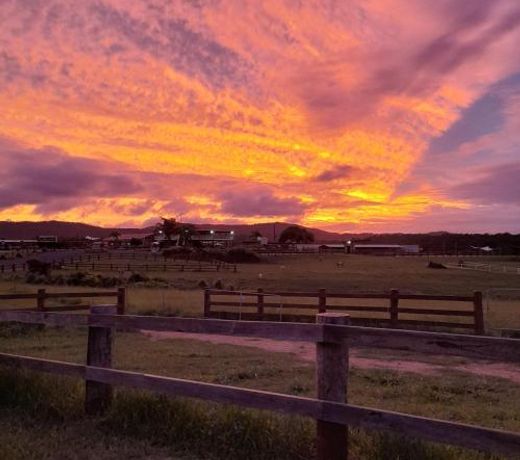 KUR-Cow farm escape 35 minutes from Cairns