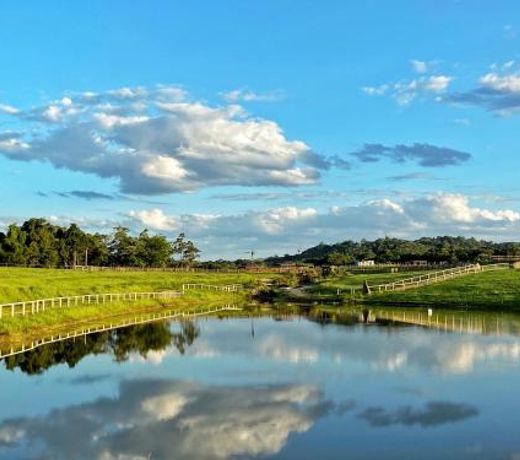 KUR-Cow farm escape 35 minutes from Cairns