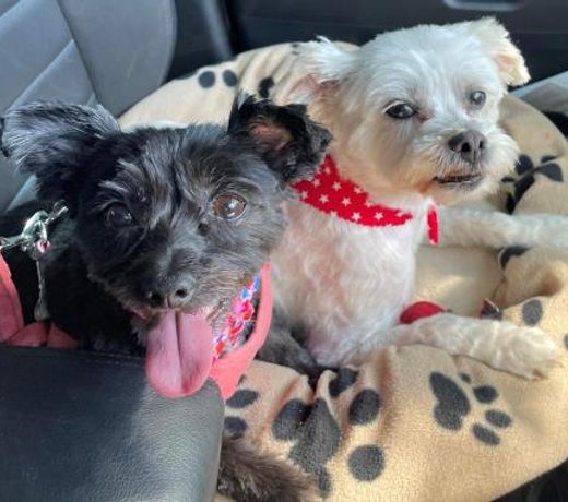 Jerilderie BNB - Pets Welcome - House