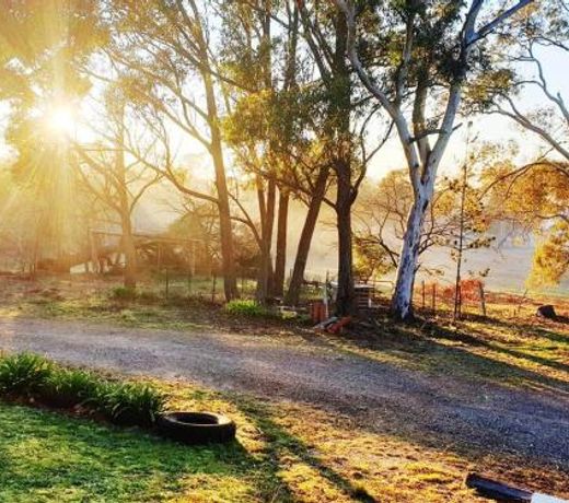 Eco - Relax and Unwind - Greenwich Park