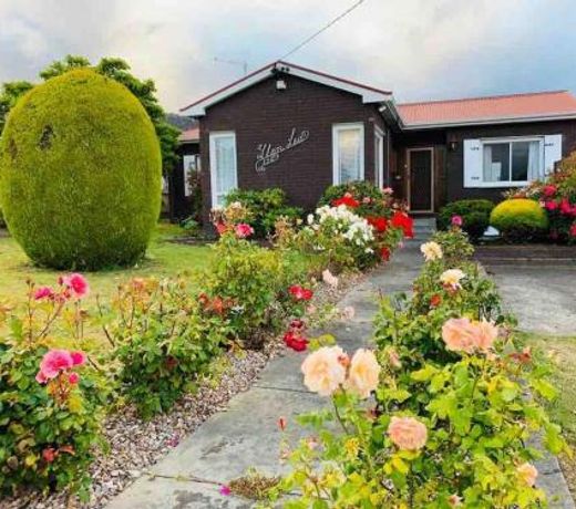 Rose Homey Home
