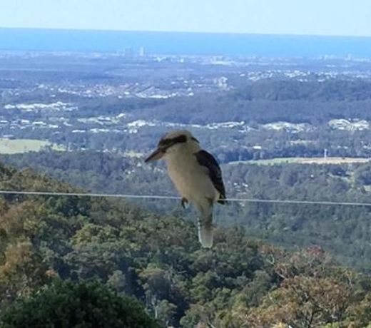 Beautiful Home with Breath-taking Views Mt Tamborine