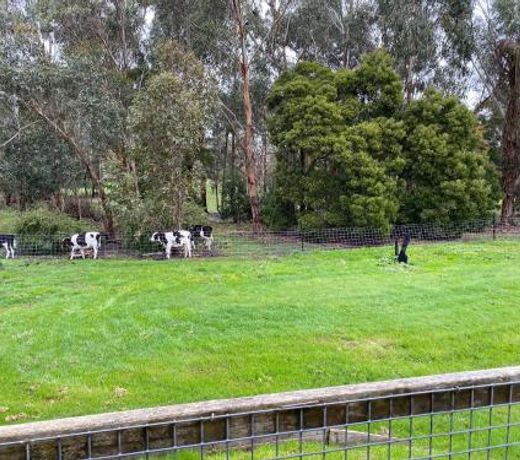 Richoâs Retreat, 1 bed unit near Great Ocean Road