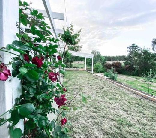 The Pine Tree Cottage - Charming cottage close to Canberra