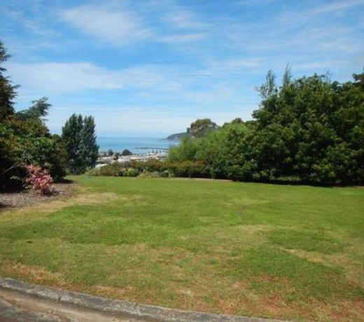 Burnie Port Views