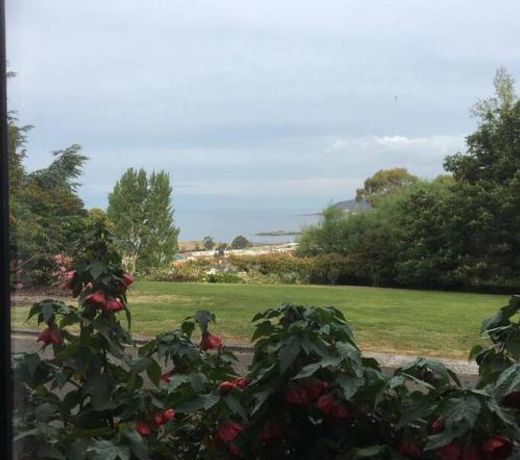 Burnie Port Views