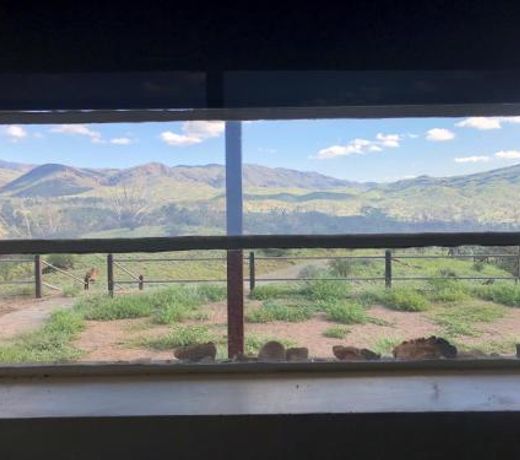 Grindells Hut - Vulkathunha-Gammon Ranges National Park