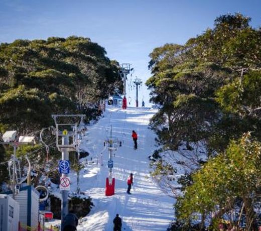 Snow Gum Apartment 2