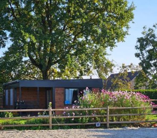 Houten huisje tussen paarden