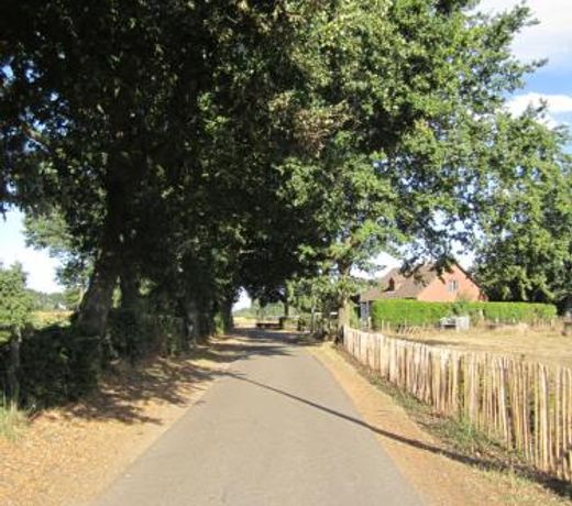 De Hoog Velden 12