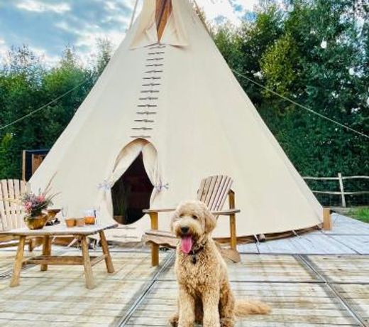 Tipi Marie Glamping in style met hottub