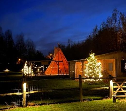 Authentic tipi and cabin with hot tub in private garden