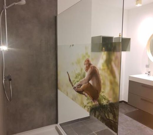 Vakantiewoning 'De Vlaamse Aap'