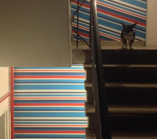 GHOSTeL 1st - Aventure Alternative - GUEST HOUSE - Arts-Factory-Experience - For artists, makers and open minds - Attention, we are not a hotel and are not adapted for everybody - Read host warnings before reservation - WWW,PROVIDENCE,BE asbl