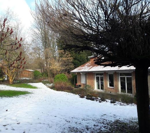 Un grand jardin en ville. Chez Guy